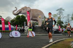 BIB: 
                            <button type="button" onclick="openModal(26528512)" class="btn btn-primary btn-sm float-right btn-popup" data-toggle="modal" data-target=".modal-high-quality">
                        <i class="fas fa-shopping-cart"></i> Add to Cart
                    </button>
                                            <button type="button" onclick="isThisMe(26528512, true)" class="btn btn-success btn-sm float-right btn-popup btn-isme hidden" data-toggle="tooltip" data-placement="bottom" title="นี่คือรูปของคุณใช่ไหม คลิกที่นี่เพื่อเอาเข้าอัลบั้ม">
                        <i class="fas fa-plus"></i> Add to album
                    </button>
                    <button type="button" onclick="isThisMe(26528512, false)" class="btn btn-warning btn-sm float-right btn-popup btn-isnotme hidden">
                        <i class="fas fa-ban"></i> Remove from album
                    </button>